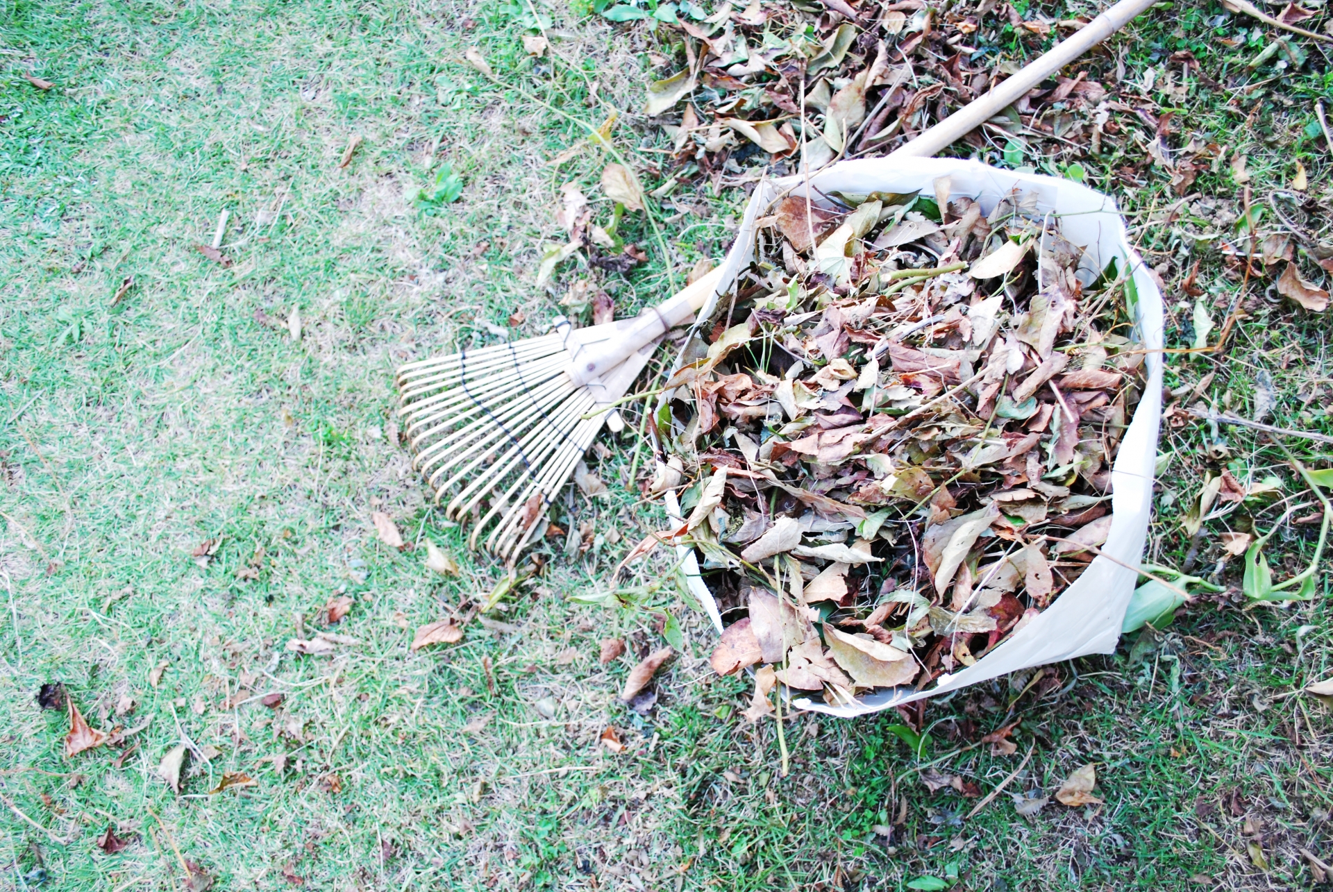 庭をプロ並みに掃除する方法！手順を徹底解説の画像